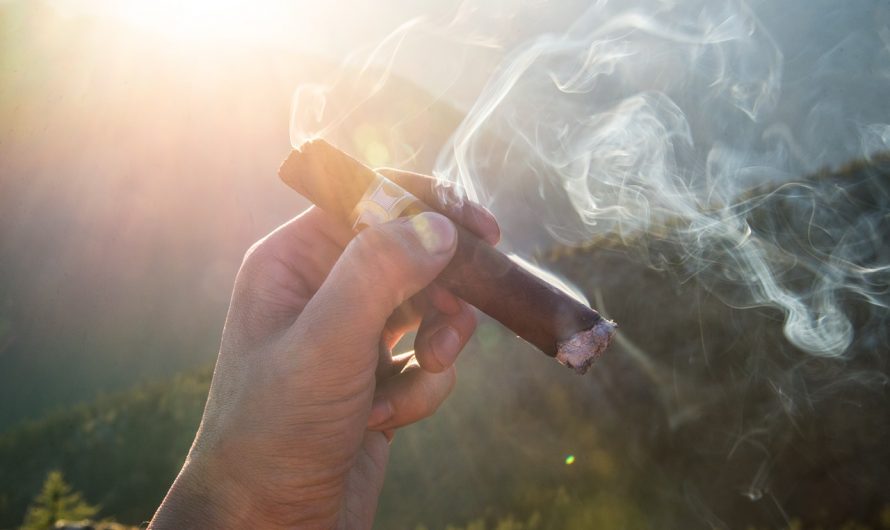 Nos conseils pour débuter dans le monde du cigare